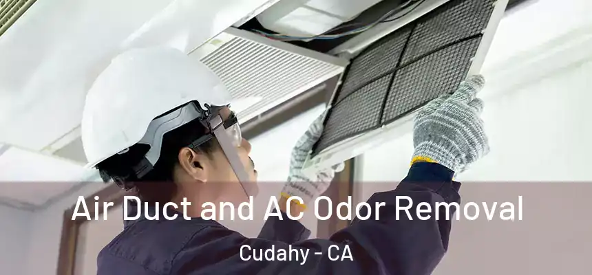Air Duct and AC Odor Removal Cudahy - CA