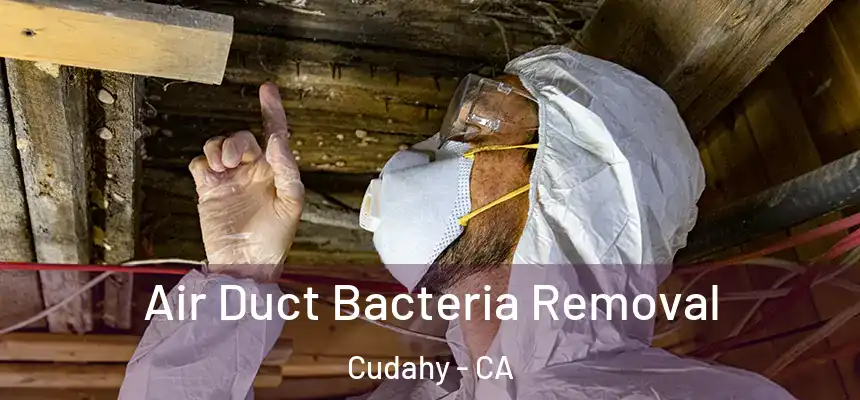  Air Duct Bacteria Removal Cudahy - CA
