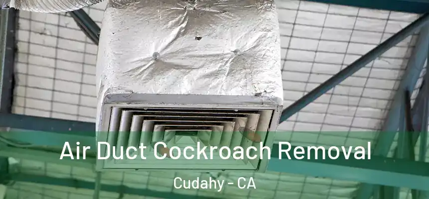  Air Duct Cockroach Removal Cudahy - CA