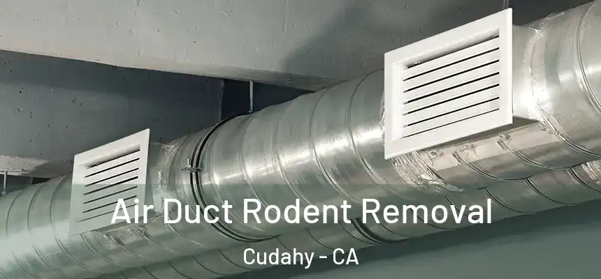  Air Duct Rodent Removal Cudahy - CA