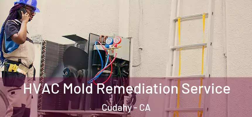 HVAC Mold Remediation Service Cudahy - CA