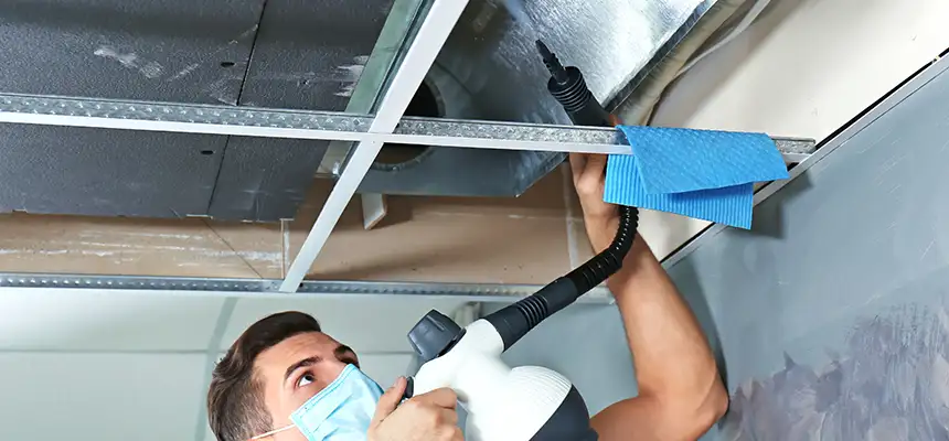 Our Air Duct Rodent Removal Services in Cudahy, CA