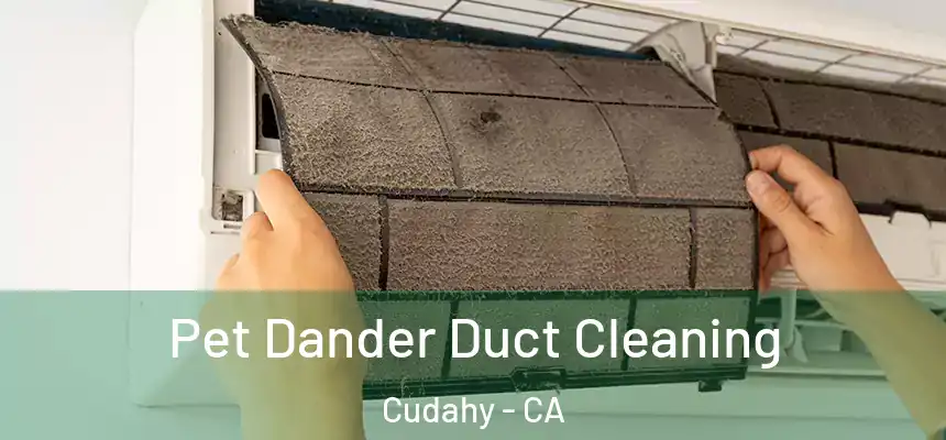  Pet Dander Duct Cleaning Cudahy - CA