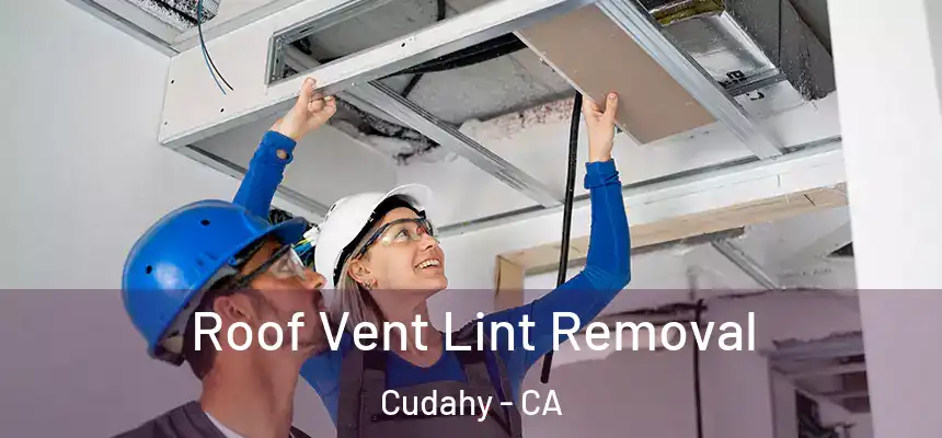  Roof Vent Lint Removal Cudahy - CA