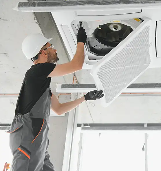 About Air Duct Rodent Removal in Cudahy, CA