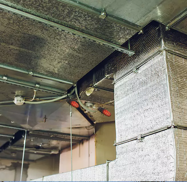 Why Homeowners & Businesses Trust Us Cudahy, CA?