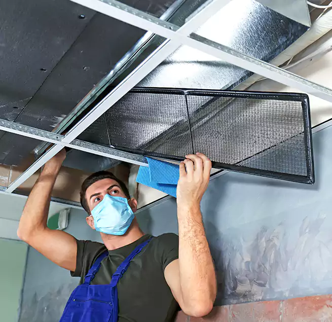 Why Homeowners Businesses Trust Us in Cudahy, CA